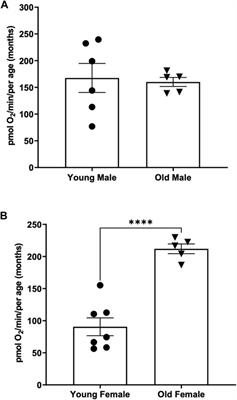 Analysis of oxygen consumption rates in zebrafish reveals differences based on sex, age and physical activity recovery